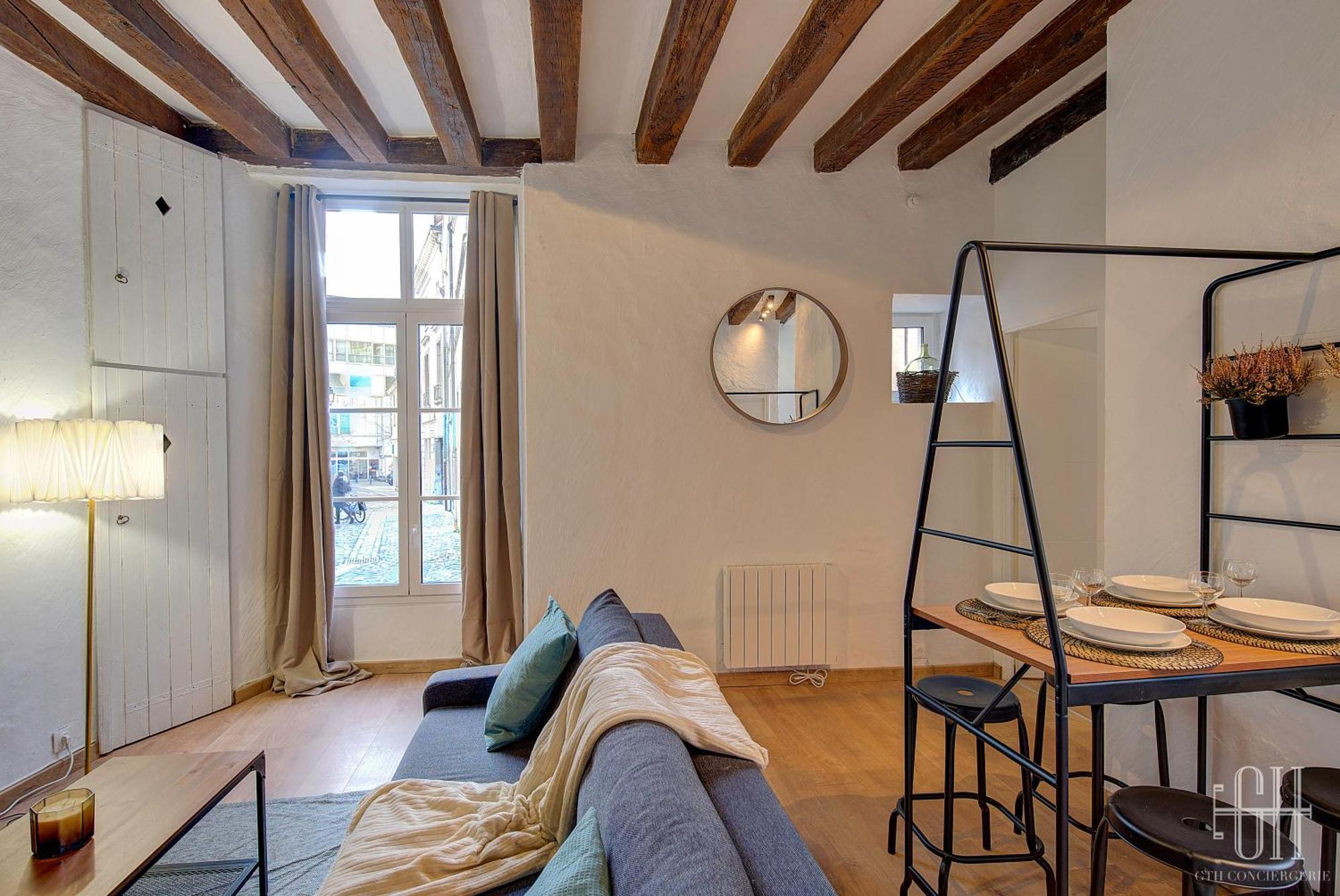 L'Historique / Basilique St Martin Apartment ตูร์ ภายนอก รูปภาพ